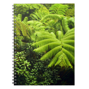 Cuaderno Hawái, Isla Grande, Exuberante vegetación tropical