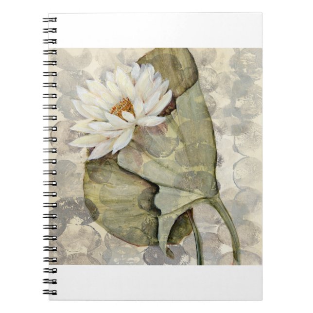 Cuaderno HAZ23 Amazonia 1.tif (Frente)