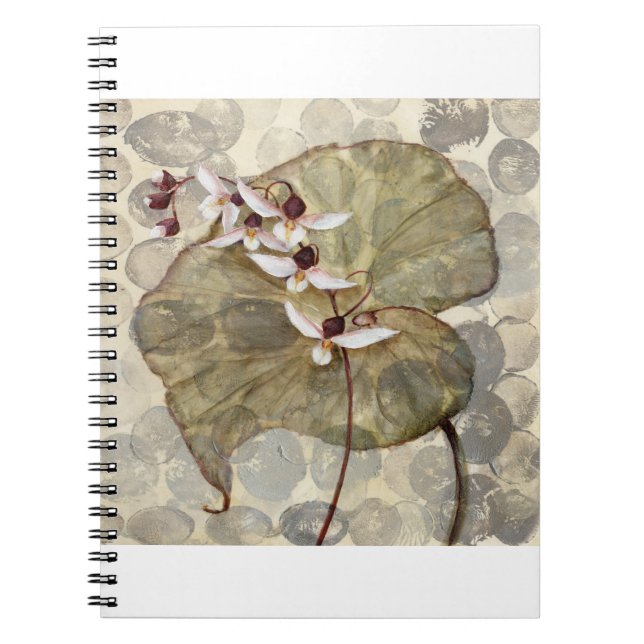 Cuaderno HAZ24 Amazonia 2.tif (Frente)