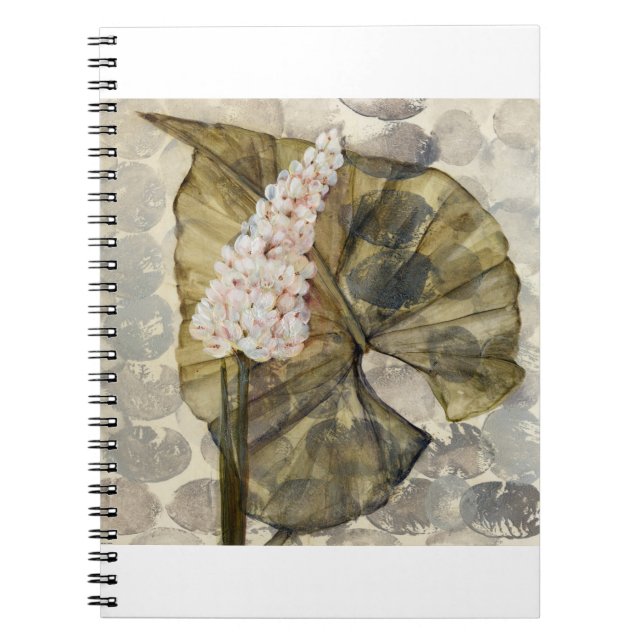 Cuaderno HAZ25 Amazonia 3.tif (Frente)