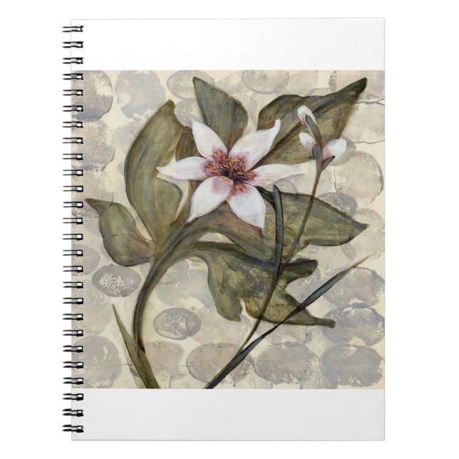 Cuaderno HAZ26 Amazonia 4.tif (Frente)