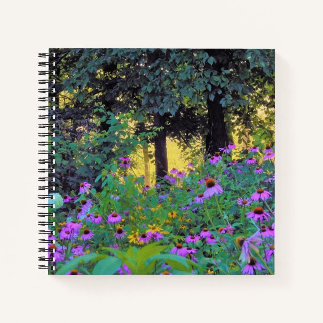 Cuaderno Hazy Morning Sunrise en My Rubio Garden (Anverso)