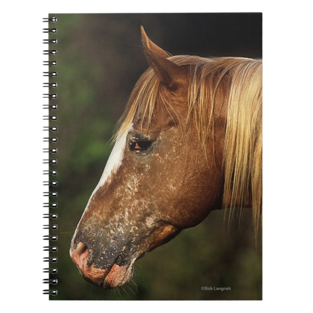 Cuaderno Headshot 1 del caballo del Appaloosa (Frente)