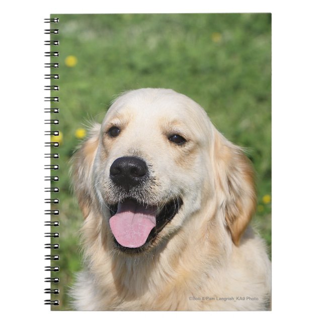 Cuaderno Headshot 1 del golden retriever (Frente)