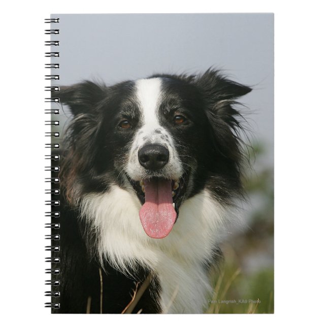 Cuaderno Headshot 1 del jadeo del border collie (Frente)