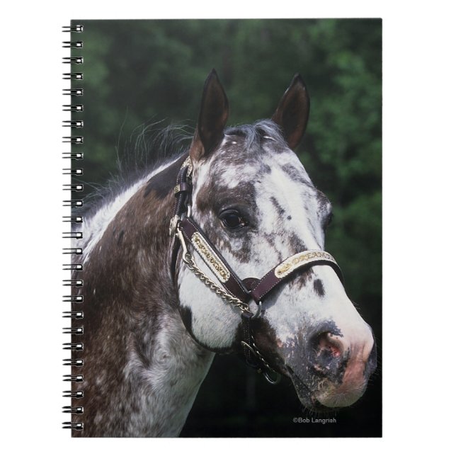 Cuaderno Headshot 2 del caballo del Appaloosa (Frente)