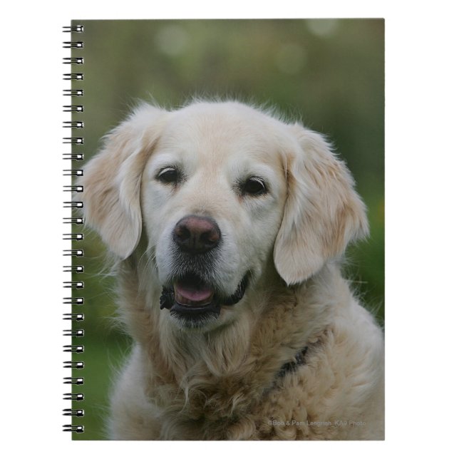 Cuaderno Headshot 2 del golden retriever (Frente)