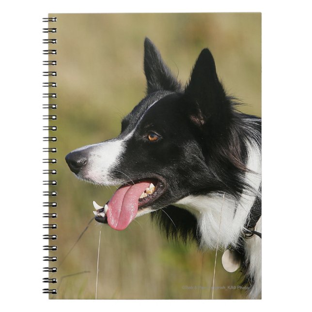 Cuaderno Headshot 2 del jadeo del border collie (Frente)