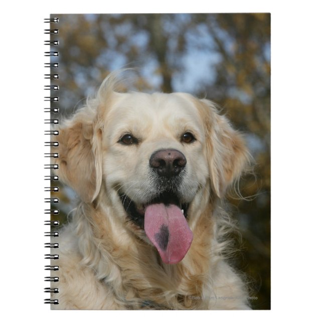Cuaderno Headshot 3 del golden retriever (Frente)