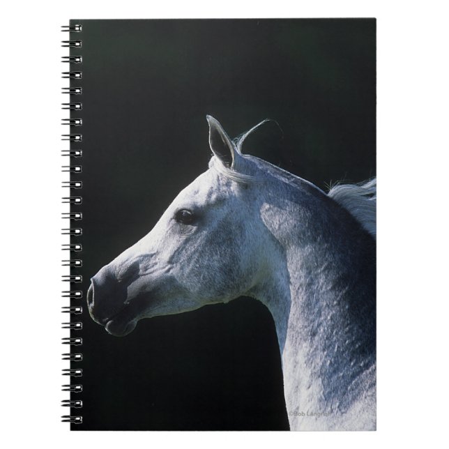 Cuaderno Headshot árabe 2 del caballo (Frente)