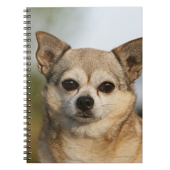 Cuaderno Headshot de la chihuahua (Frente)