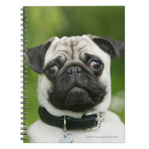 Cuaderno Headshot del barro amasado