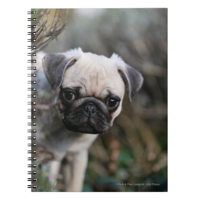 Cuaderno Headshot del perrito del barro amasado del (Frente)