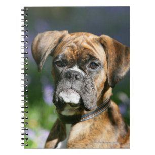 Cuaderno Headshot del perro del boxeador