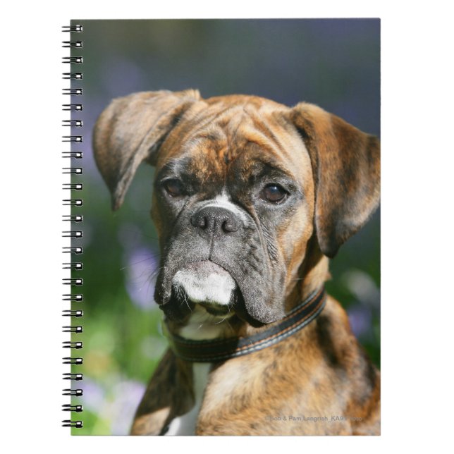 Cuaderno Headshot del perro del boxeador (Frente)