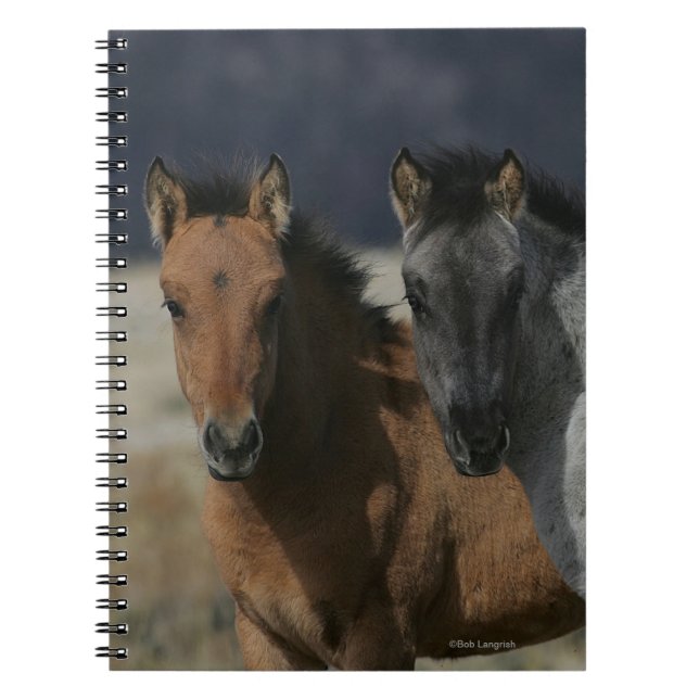 Cuaderno Headshot del potro del mustango (Frente)