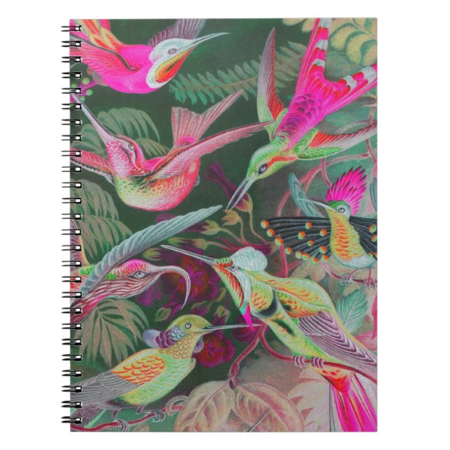 Cuaderno Heckel Hummingbirds (Frente)