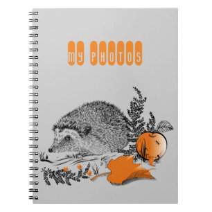 Cuaderno Hedgehog