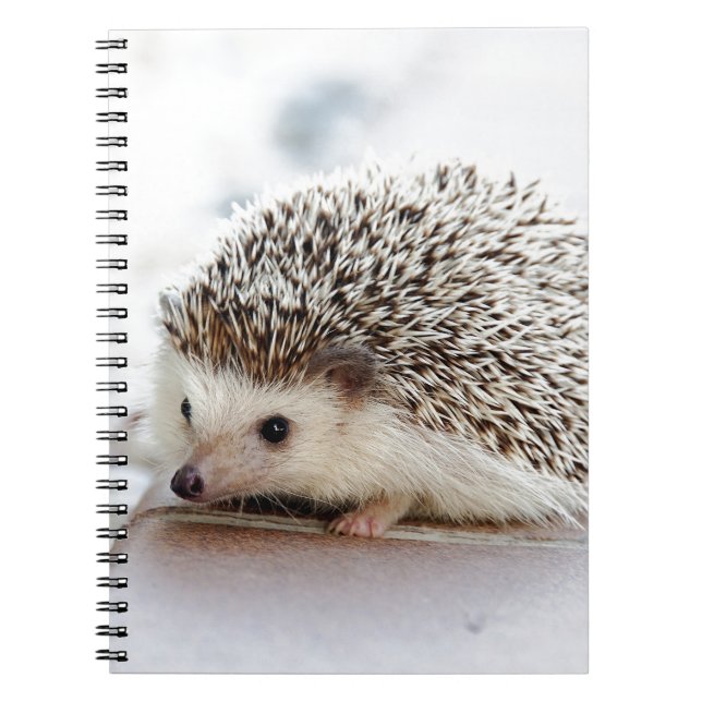 Cuaderno Hedgehog (Frente)