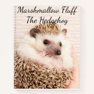 Cuaderno Hedgehog Notebook