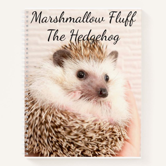 Cuaderno Hedgehog Notebook (Anverso)