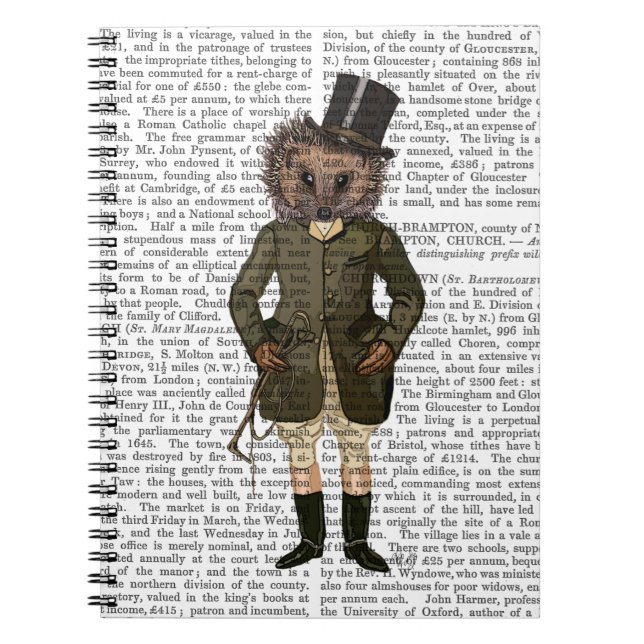 Cuaderno Hedgehog Rider lleno (Frente)