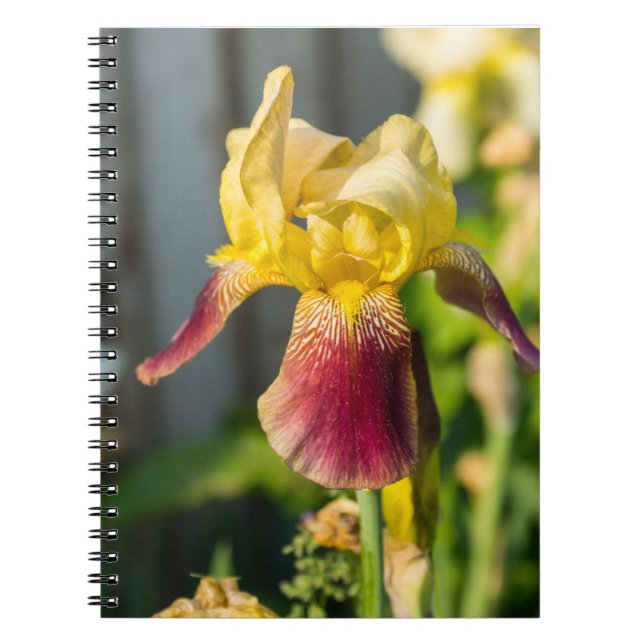 Cuaderno Heirloom Iris (Frente)