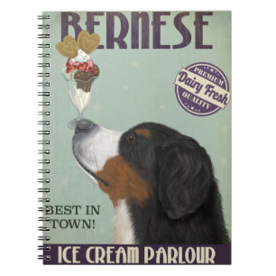Cuaderno Helado de Berna