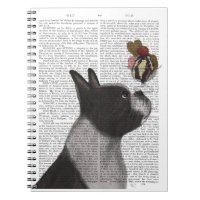 Helado de Boston Terrier