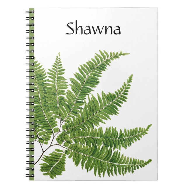 Cuaderno helecho completo, (Frente)