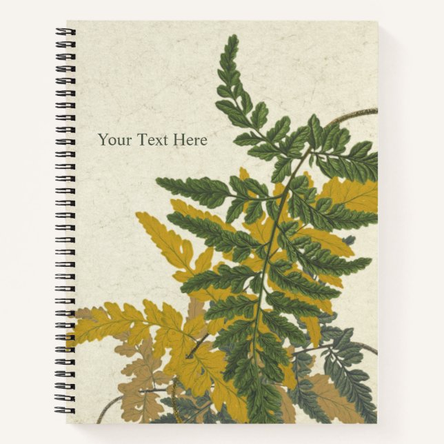 Cuaderno Helecho Pityrogramma chrysophylla (Anverso)
