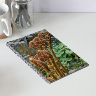 Cuaderno Helechos Botánicos Brotes
