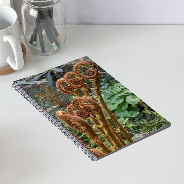 Cuaderno Helechos Botánicos Brotes (In Situ)