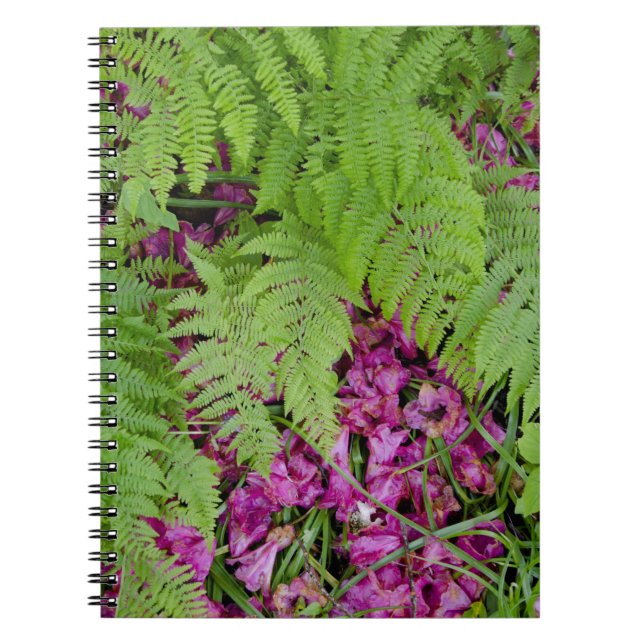 Cuaderno Helechos del bosque con pétalos de flores rosadas  (Frente)