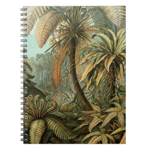 Cuaderno Helechos Palma Árbol Antiguo Arte Botánico Helecho