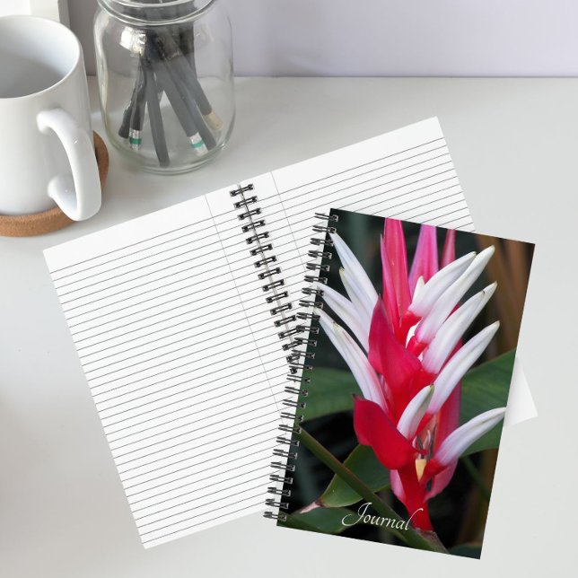 Cuaderno Heliconia floral roja y blanca (In Situ)
