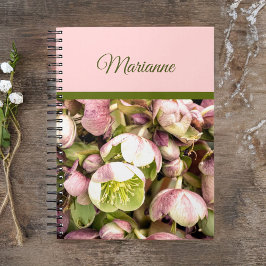 Cuaderno Hellebore rosa y oliva personalizado de bonito