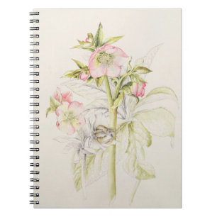 Cuaderno Hellebores