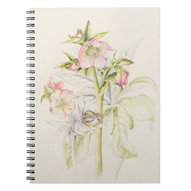Cuaderno Hellebores (Frente)