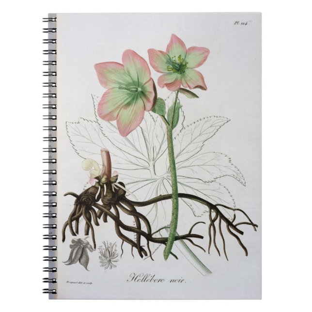Cuaderno Helleborus Niger de "Phytographie Medicale" por J (Frente)