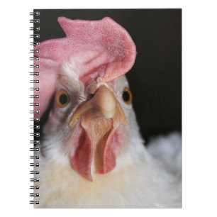Cuaderno Hen