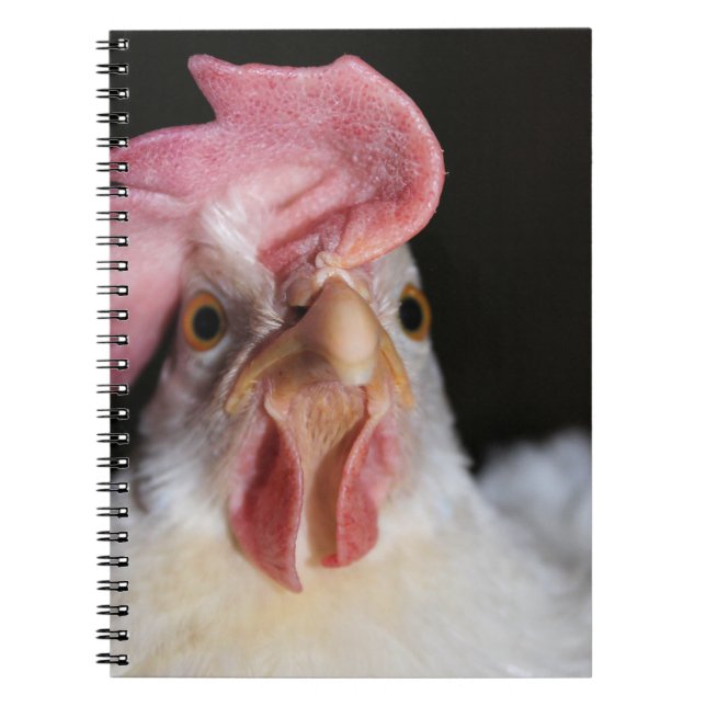Cuaderno Hen (Frente)