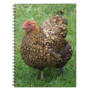 Cuaderno Hen Notebook