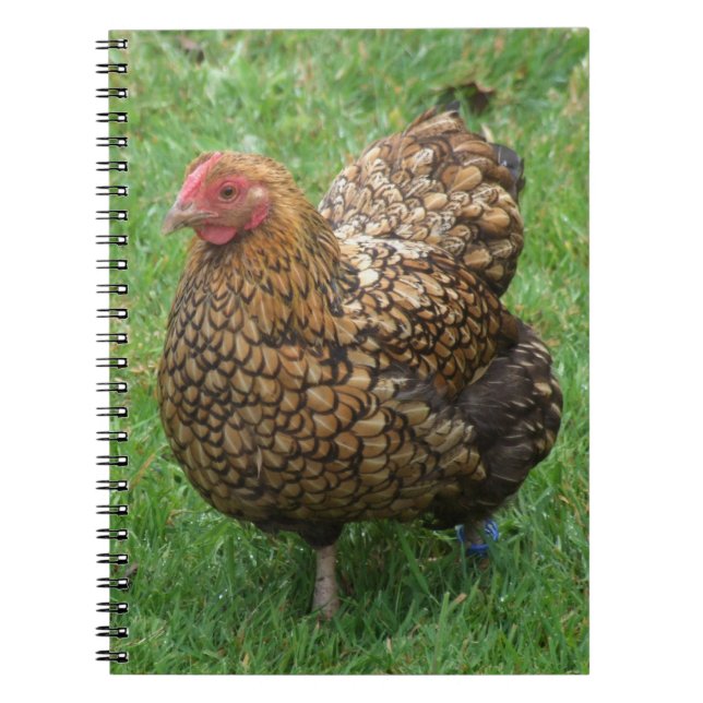 Cuaderno Hen Notebook (Frente)
