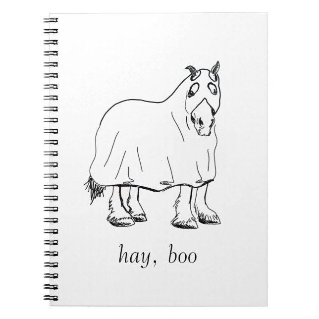 Cuaderno heno, diario de boo (Frente)