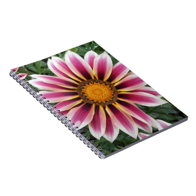 Cuaderno Hereford (Lado Derecho)