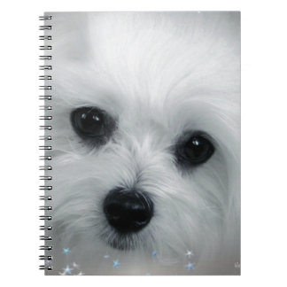 Cuaderno Hermes el maltés