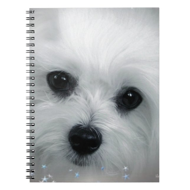 Cuaderno Hermes el maltés (Frente)