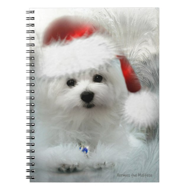Cuaderno Hermes el maltés (Frente)