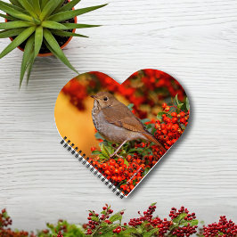 Cuaderno Hermit Thrush Songbird en el Fuego de Escarlata